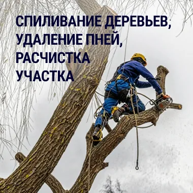 Спиливание деревьев, удаление пней, расчистка участка
