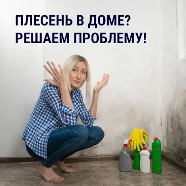 Защита и обработка — влага и плесень